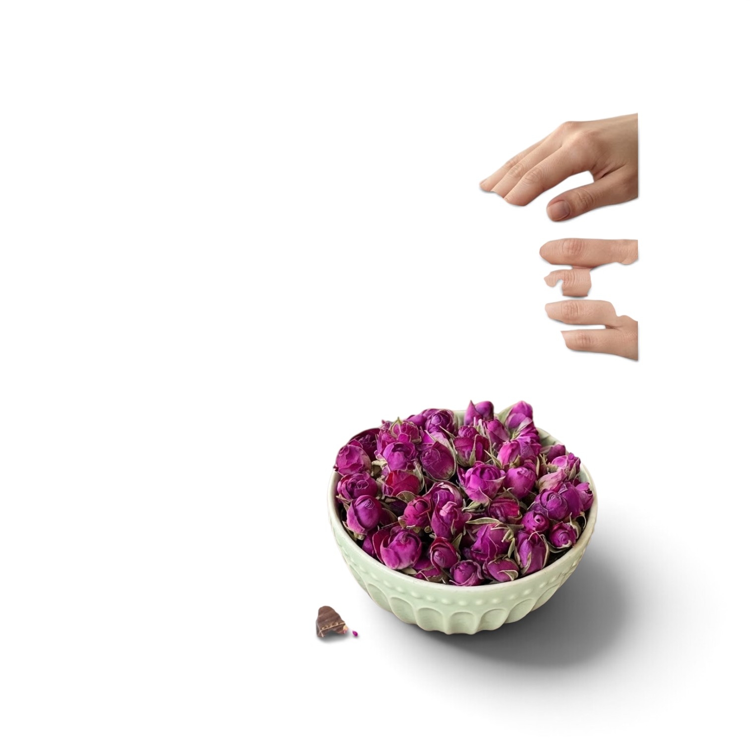 غنچه گل محمدی لاله زار